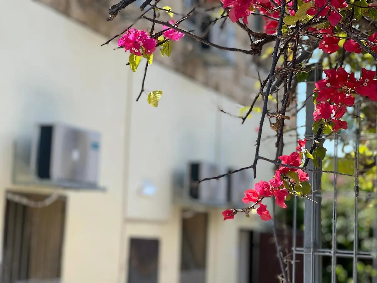 The Lion Hotel 하이파